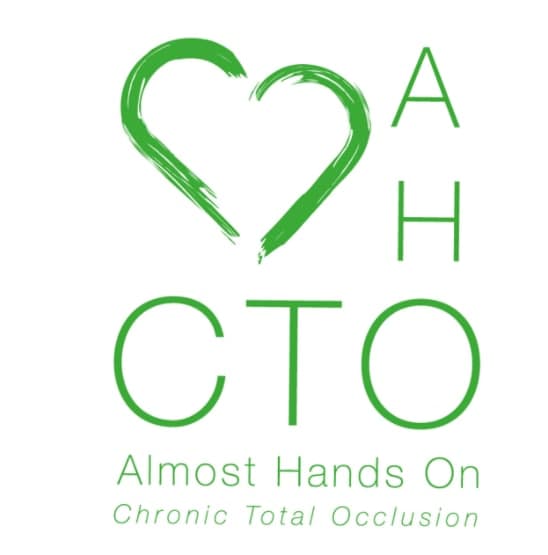 12th AHO CTO PCI Meeting 15 December 2020 SIMPLE EDUCATION Almost Hands On Videos