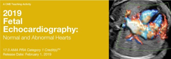 2019 Fetal Echocardiography Normal and Abnormal Hearts CME Videos