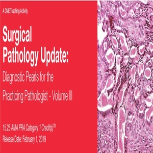 2019 surgical pathology update diagnostic pearls for the practicing pathologist vol