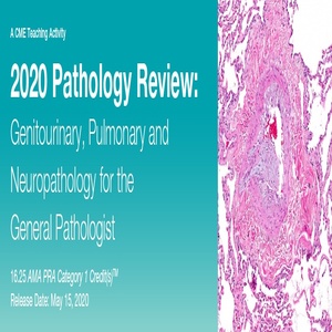 2020 pathology review genitourinary pulmonary and neuropathology for the general pathologist