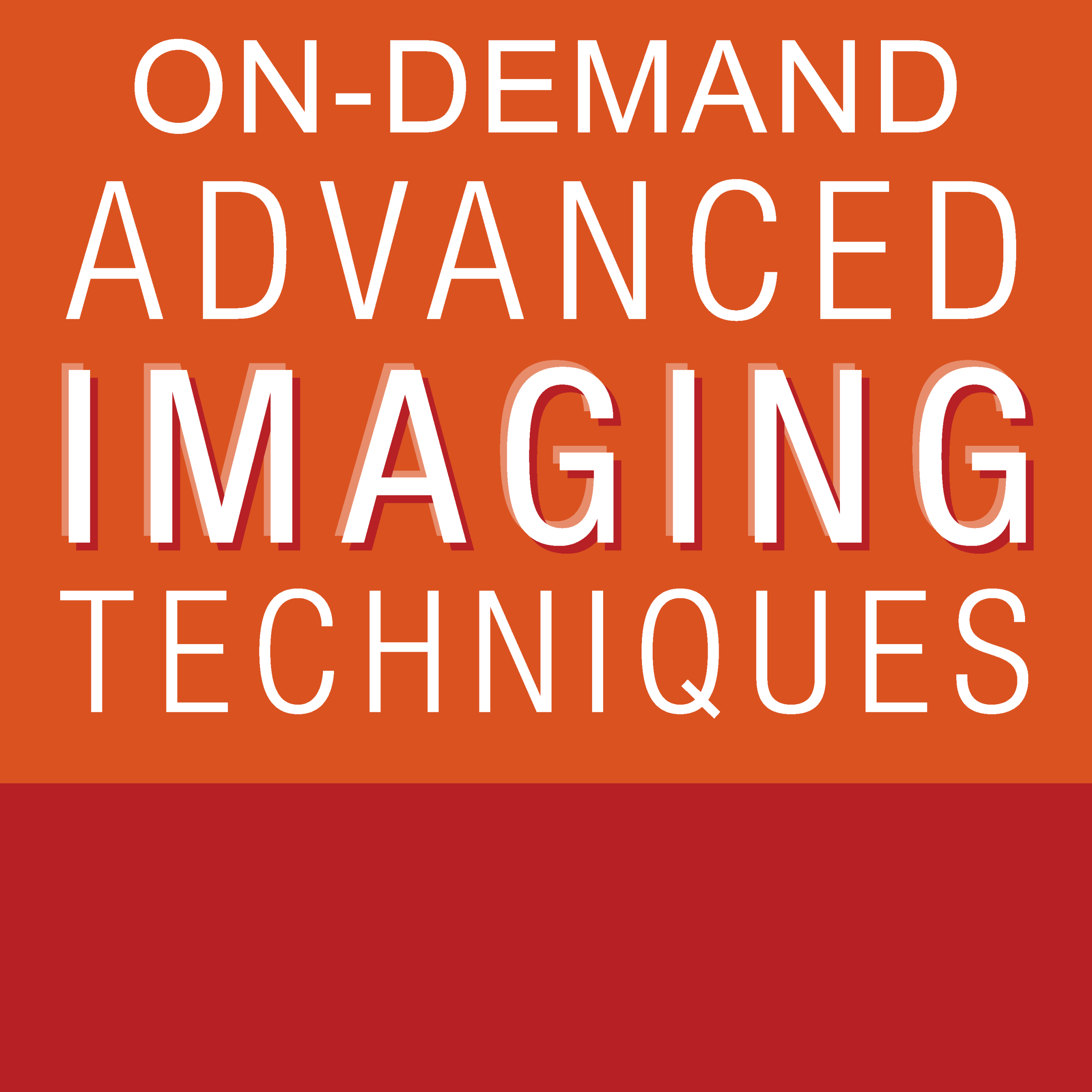 2022 Advanced Imaging Techniques OnDemand – ASELearningHub Videos scaled