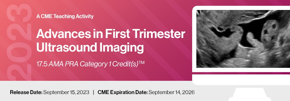 2023 Advances in First Trimester Ultrasound Imaging – DocmedED Videos