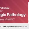 2023 Classic Lectures in Pathology What You Need to Know Gynecology