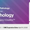 2023 Classic Lectures in Pathology What You Need to Know Lung Pathology