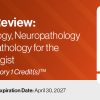 2024 Pathology Review Dermatopathology