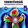 Coronary Artery Territories ( Echocardiography Illustrated ), 2nd edition (Original PDF from Publisher)