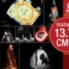 ASE Advanced Echo Virtual Experience 2023