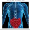 Cedars Sinai 21st Annual Educational Meeting in Gastroenterology 2021