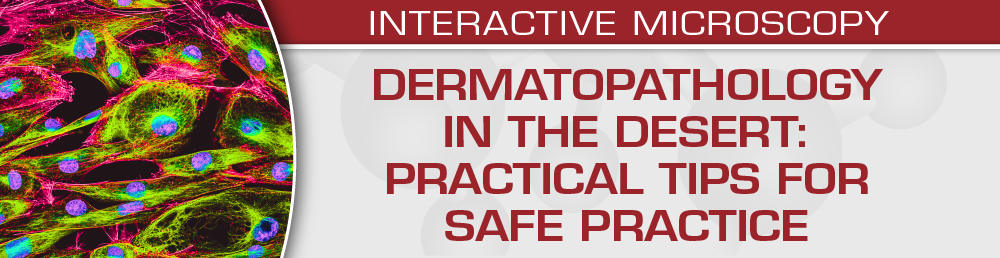 Dermatopathology in the Desert Practical Tips for Safe Practice 2024