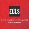 ECHO Guided Life Support Using ultrasound to categorise shock and guide initial management CME VIDEOS