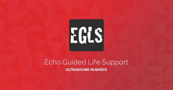 ECHO Guided Life Support Using ultrasound to categorise shock and guide initial management CME VIDEOS