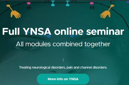 Full YNSA online seminar