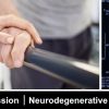 Harvard NeuroRehabilitation 2024