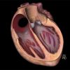 MRI Online Mastery Series Fundamentals of Cardiac MRI 2021