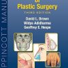 Michigan Manual Of Plastic Surgery 3rd Edition EPubConverted PDF
