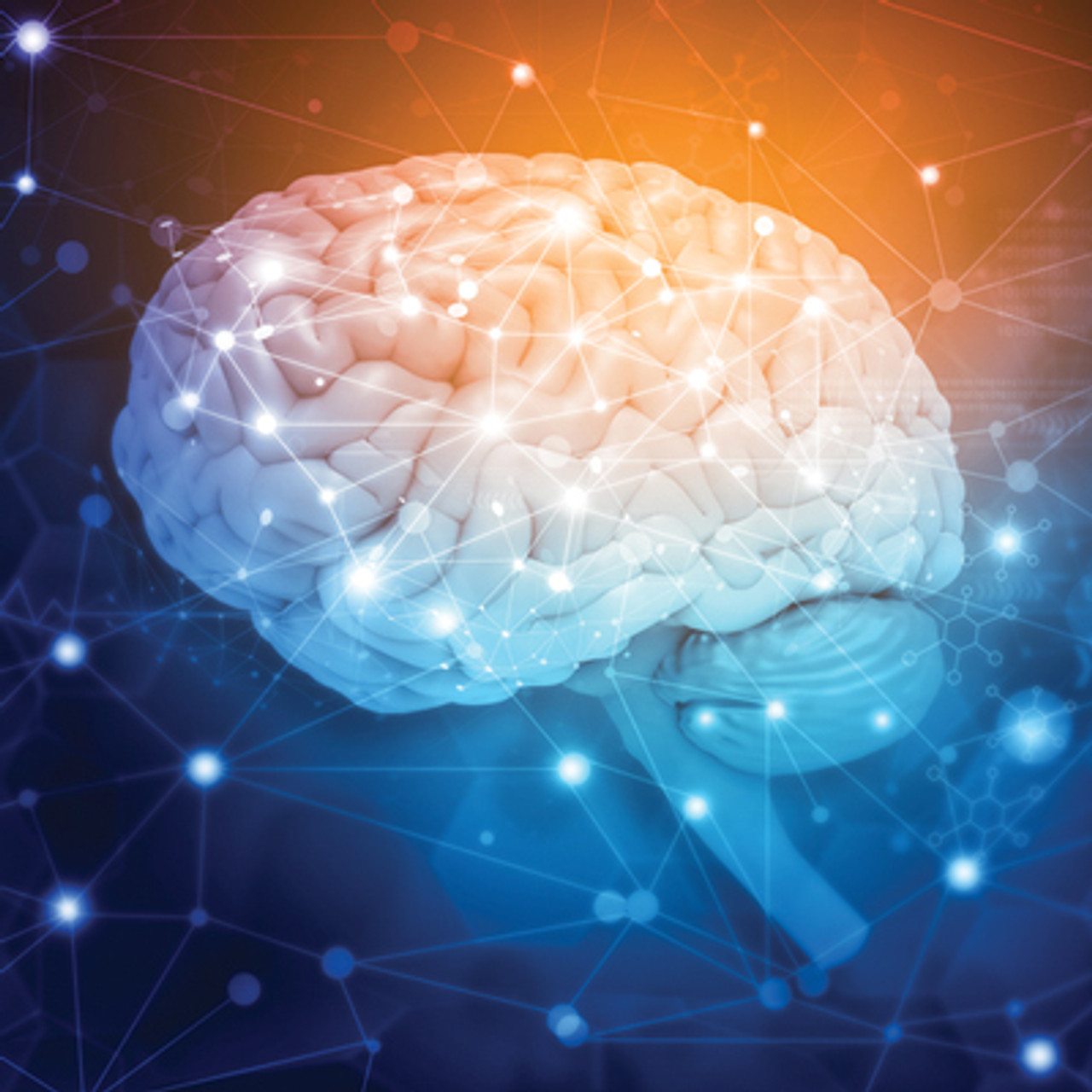 Oakstone Psychopharmacology for Primary Care Physicians 2024