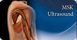 Pegasus Musculoskeletal Ultrasound eCourse 2023 Videos