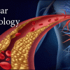 Pegasus Vascular Technology Review 2022 CME VIDEOS