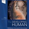 The Developing Human Clinically Oriented Embryology 11th Edition Original PDF from Publisher