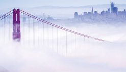 UCSF CME COVID 19 for Clinicians Up to the Minute Advances 2022 1