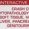 USCAP Crash Course in Cytopathology Thorax Soft Tissue Head and Neck Liver Pancreatobiliary and Genitourinary Tract 2024
