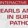 USCAP Second Edition Pearls and Palms in Surgical Pathology 2023