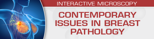 contemporary issues in breast pathology 510x132 1
