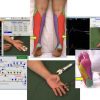 emg ncs online series volume iii afkebooks 510x355 1
