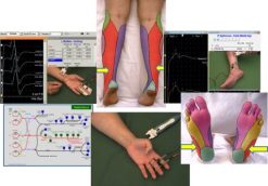 emg ncs online series volume iii afkebooks 510x355 1