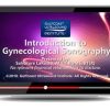 introduction to gynecological sonography online 1