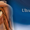 pegasus point of care msk ultrasound physics 2023 course