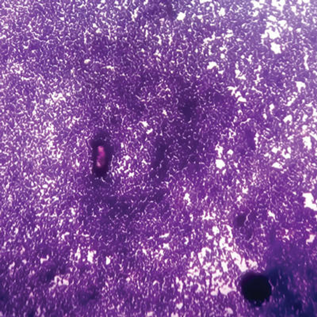 single topic cytopathology 15410 2