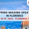 spring imaging update in florence italy may 18 19 course 2023 510x355 1