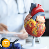 the brigham board review and comprehensive update in cardiology 2023 course