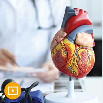 the brigham board review and comprehensive update in cardiology 2023 course