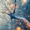 Oakstone Neurology for Non-Neurologists 2025