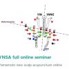 YNSA full online seminar 2024 (Videos + Slides)