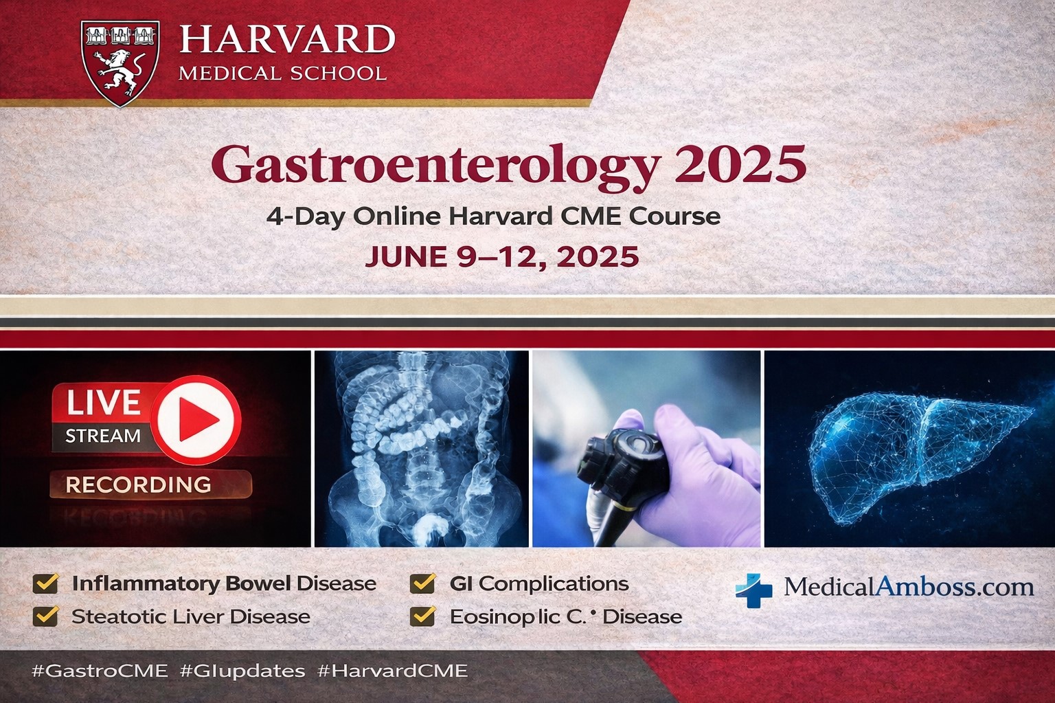 Harvard Gastroenterology 2025