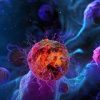 2025 Update in Hematology and Medical Oncology (Videos with subtitles + Slides)