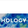 NSH Digital Pathology Certificate Program 2025