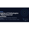 AARS Imaging of Pathologies of Male External Genitalia 2025