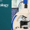 Harvard Dermatopathology Update 2025