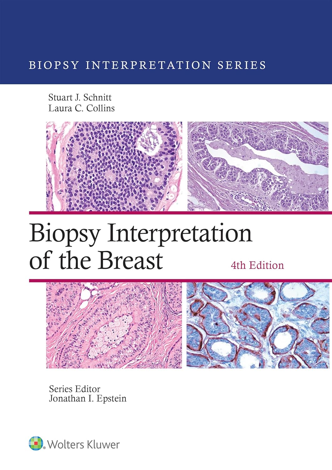 nterpretation Series), 4th Edition (EPUB)