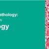 Classic Lectures in Pathology What You Need to Know Liver Pathology 2018