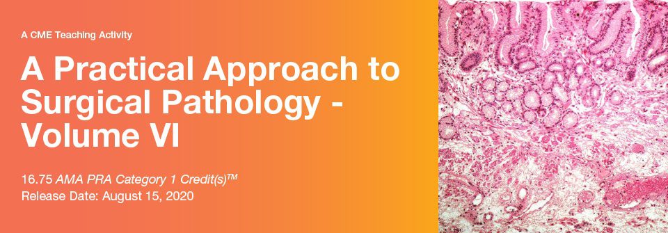 2020 A Practical Approach to Surgical Pathology – Volume VI