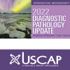 2022 Diagnostic Pathology Update: Pragmatic Approaches to Daily Practice
