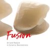 Fusion: Art and Nature in Ceramic Restorations: 2-Volume Set