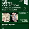 The Netter Collection of Medical Illustrations: Nervous System, Volume 7, Part I – Brain, 3rd edition (ePub+Converted PDF)
