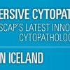 USCAP Immersive Cytopathology Experience ICE in Iceland 2019
