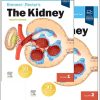 Brenner & Rector’s The Kidney (2 volume set), 12th edition (Original PDF from Publisher)